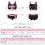 LittleForBig Unisex Baumwolle Camisole und Höschen Sport Loungewear Bralette Set – Sissy University Bralette Set Schwarz XXXXL - 4